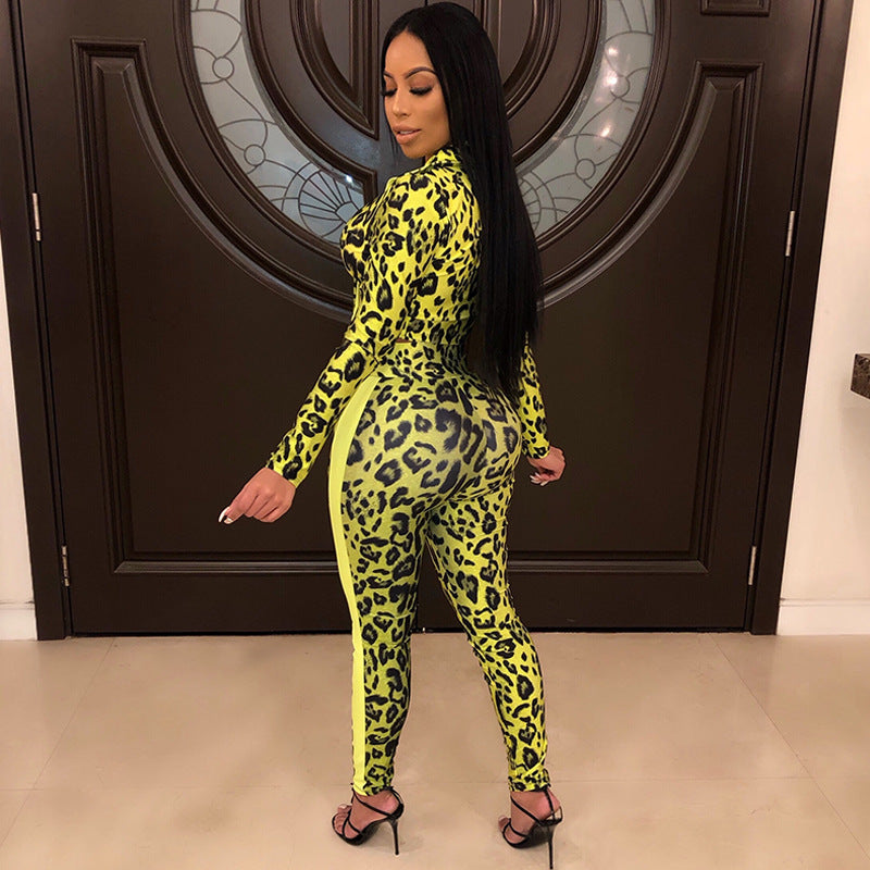 Two-Piece Snakeskin Digital Printing Set