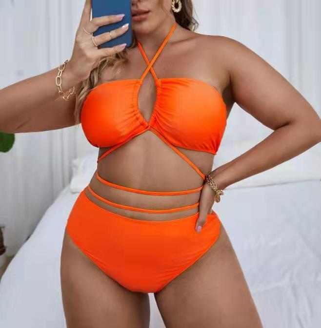 Solid Color Split Ladies Bikini Set